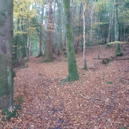 Springhouse Kilshane With Amazing Views Prázdninový dům Tipperary