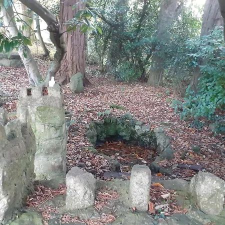 Springhouse Kilshane With Amazing Views * Tipperary