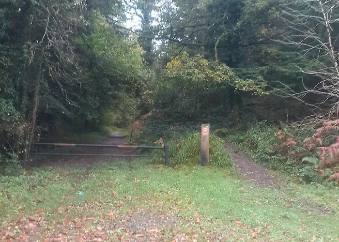 度假居 Springhouse Kilshane With Amazing Views 蒂珀雷里